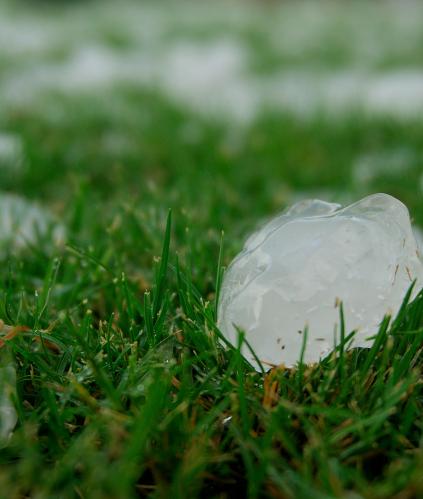 Indemnisation grêle 2025