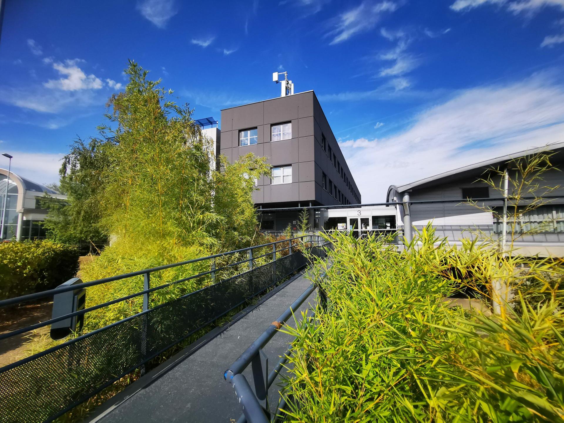 cerfrance croissy-sur-seine